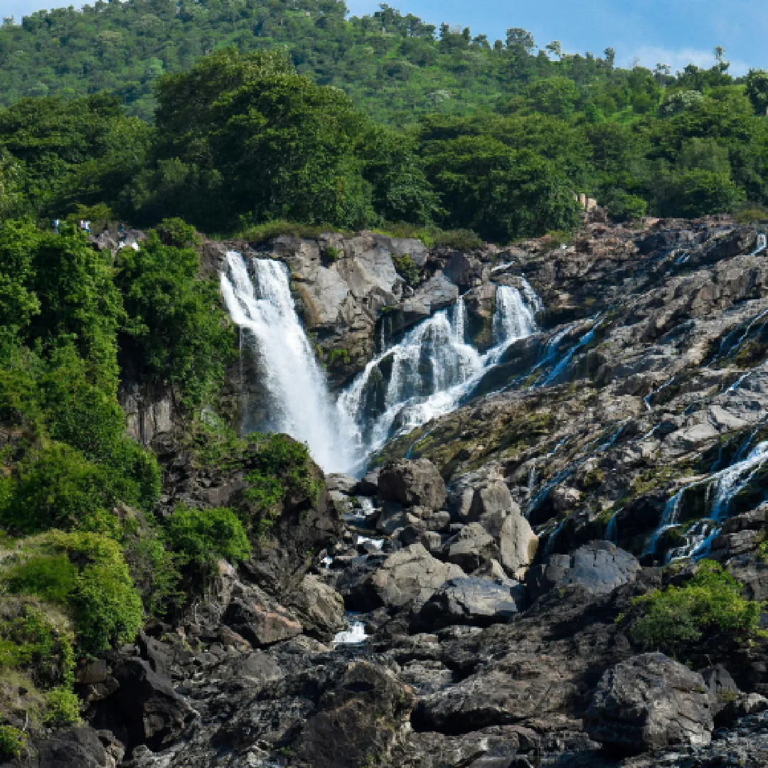 மயக்கும் கோவா ஸ்பெஷல் டூர்