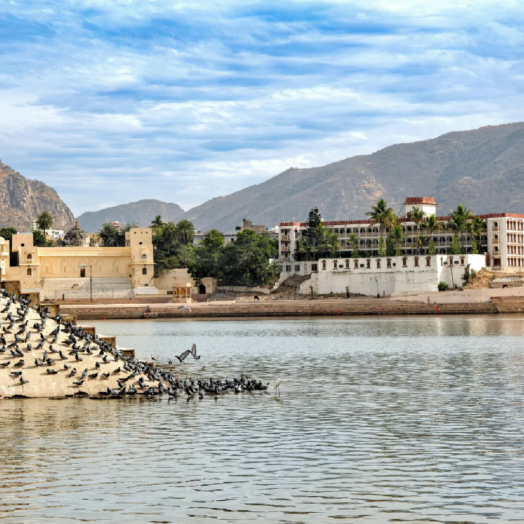 புஷ்கருடன் தங்க முக்கோணம்